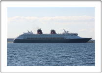 DISNEY MAGIC         9126807  